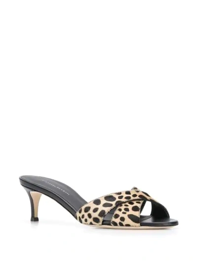 Shop Giuseppe Zanotti Cheetah-print Sandals In Neutrals