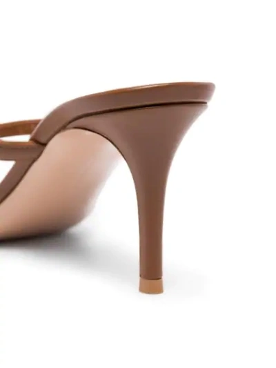 Shop Gianvito Rossi Calypso Flip-flop Sandals In Brown