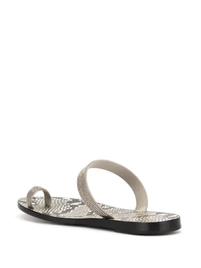 Shop Pedro Garcia Zarina Flip-flops In Grey