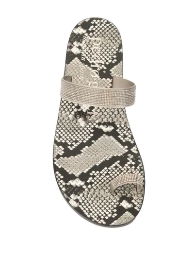 Shop Pedro Garcia Zarina Flip-flops In Grey