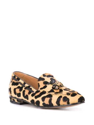 Shop Francesco Russo Leopard Print Loafers In Brown