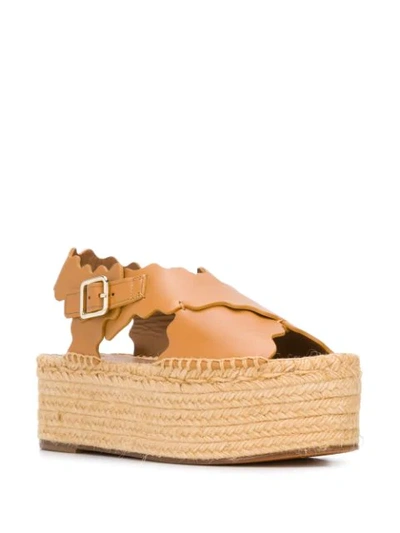 Shop Chloé Lauren Flatform Espadrilles In Brown