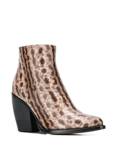 Chloé Snake-effect 95mm Ankle Boots In Neutrals