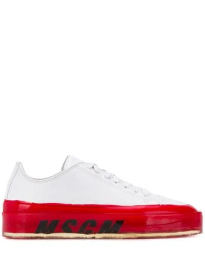 Shop Msgm 'floating' Sneakers In 18 White