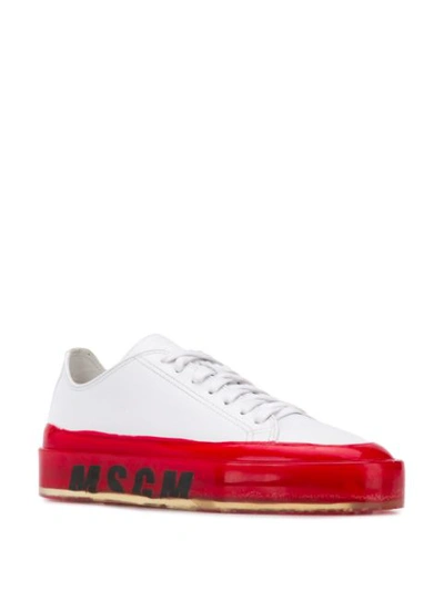 Shop Msgm 'floating' Sneakers In 18 White