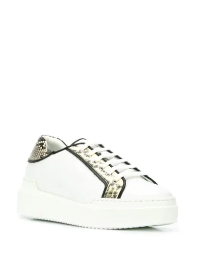 Shop Paula Cademartori Lace-up Sneakers In White