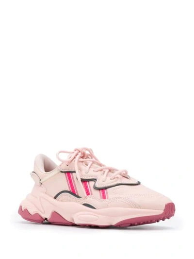 Shop Adidas Originals Ee5719rosa Rosa In Pink