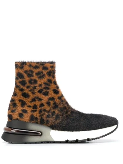 Shop Ash Leopard Print Sneaker Boots In Black