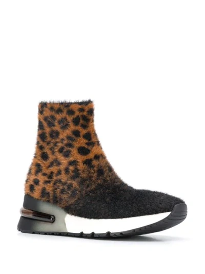 Shop Ash Leopard Print Sneaker Boots In Black