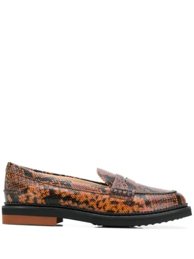 Shop Tod's Python Print Loafers In Brown