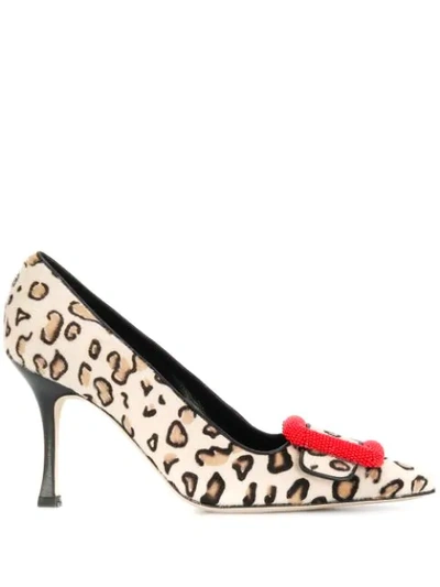 Shop Manolo Blahnik Maysale Leopard Print Pumps In Neutrals