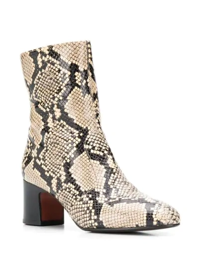 Shop Chie Mihara Na-naylon Snakeskin Print Boots In Neutrals