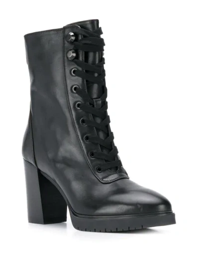 Shop Liu •jo Lace-up Ankle Boots In Black