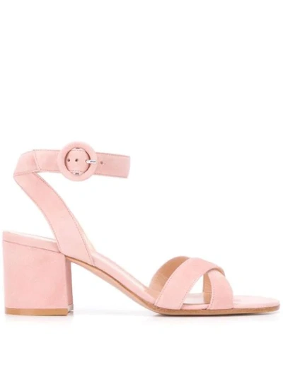 Shop Gianvito Rossi Frida Sandals - Pink
