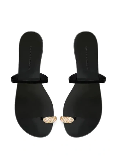 Shop Giuseppe Zanotti Ring Sandals In Black