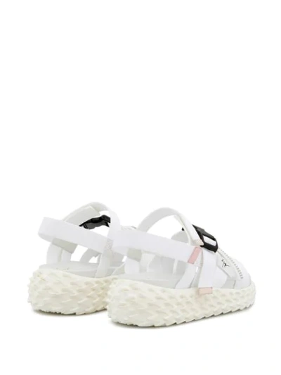 Shop Giuseppe Zanotti Urchin Sandals In White