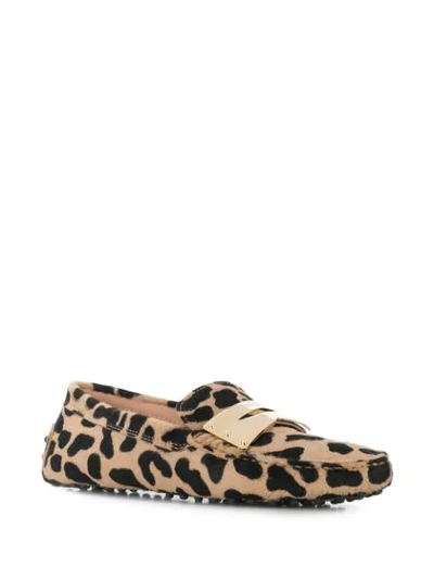 Shop Tod's Animal Print Loafers In Neutrals