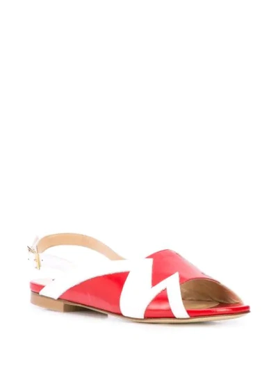Shop Alberto Fermani Open Toe Slingback Sandals In Red