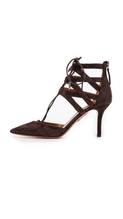 Shop Aquazzura Belgravia Pumps In Smoke