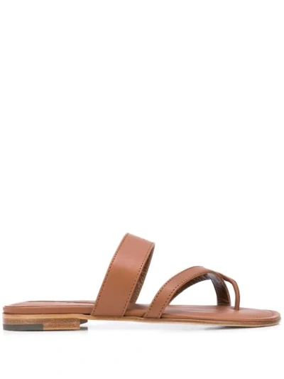 Shop Manolo Blahnik Susa Strappy Sandals In Brown