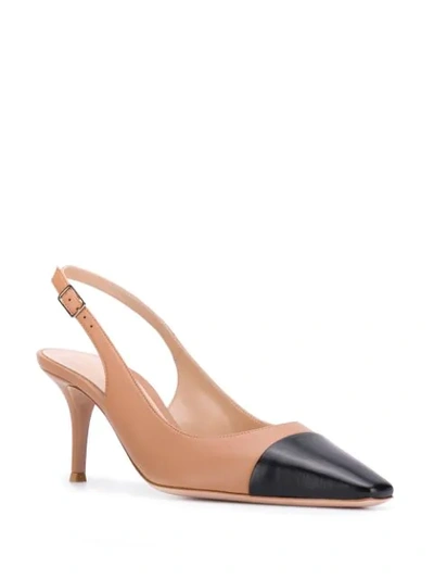 Shop Gianvito Rossi Capped Toe Pumps - Neutrals