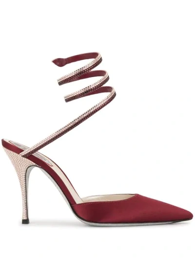 Shop René Caovilla Cleo Pointed Pumps In Red