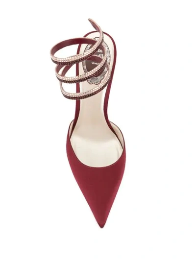 Shop René Caovilla Cleo Pointed Pumps In Red