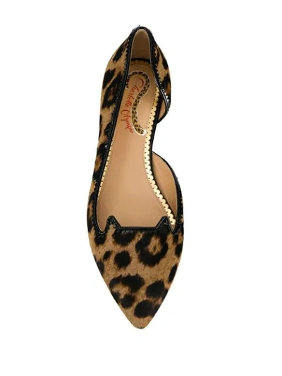 Shop Charlotte Olympia Leopard Print Ballerina Flats In Brown