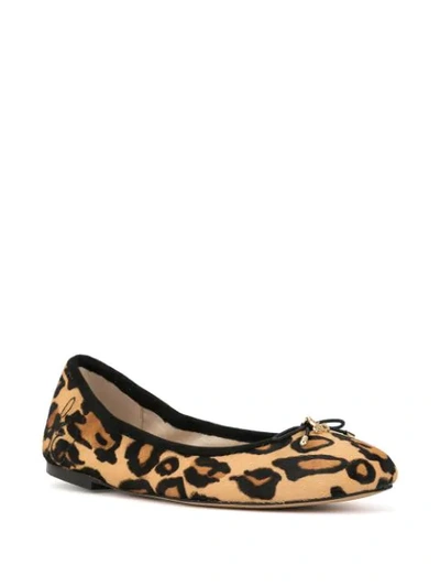 Shop Sam Edelman Felica Ponyhair Ballerinas In Brown