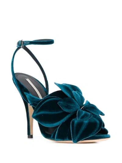 Shop Marco De Vincenzo Velvet Flower Sandals In Blue