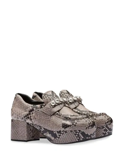 Shop Miu Miu Loafer Mit Schlangen-effekt In Grey