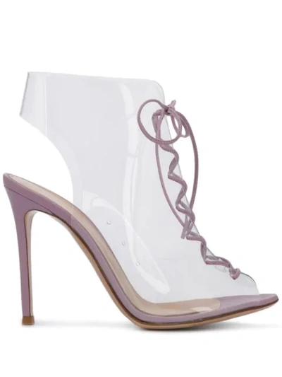 Shop Gianvito Rossi Clear Lace-up Booties In Neutrals