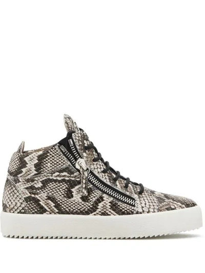 Shop Giuseppe Zanotti Kriss Python-effect Sneakers In Brown