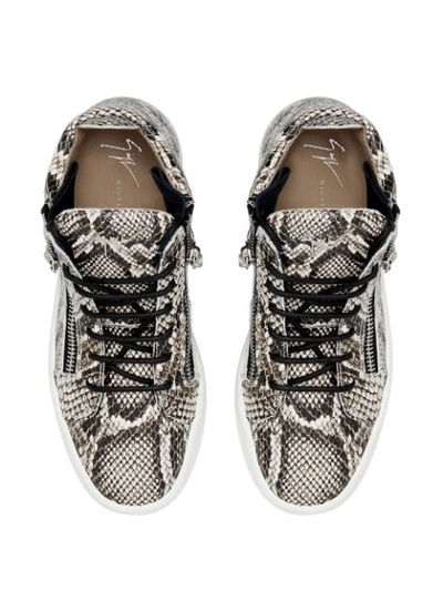 Shop Giuseppe Zanotti Kriss Python-effect Sneakers In Brown