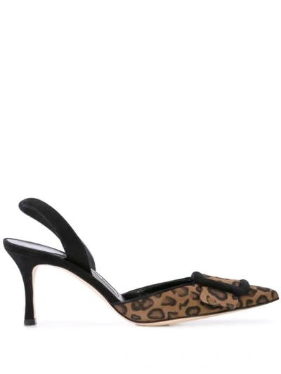 Shop Manolo Blahnik Maysli Slingback Leopard Pumps In Black