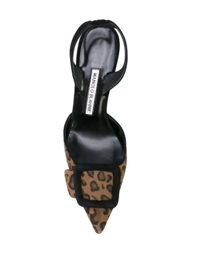 Shop Manolo Blahnik Maysli Slingback Leopard Pumps In Black