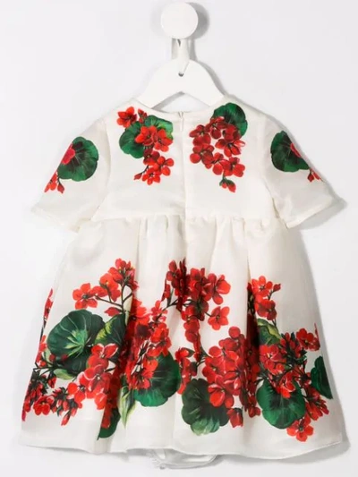 Shop Dolce & Gabbana Floral Short-sleeve Dress In White