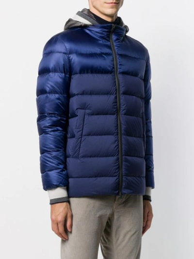 Shop Herno Padded Hooded Coat In Blue