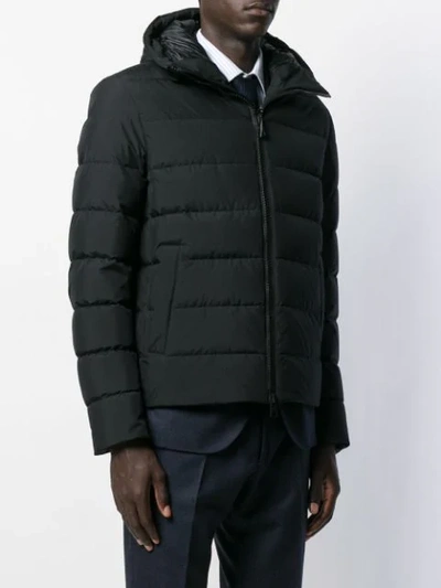 Shop Herno Padded Hooded Coat In Black