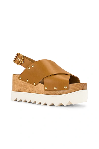 Shop Stella Mccartney Percy Platform Sandals In Light Tan