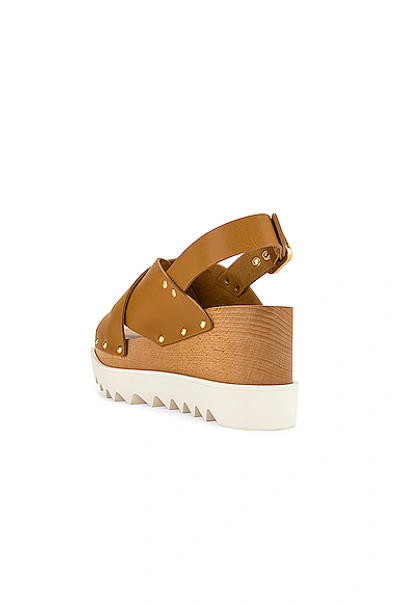 Shop Stella Mccartney Percy Platform Sandals In Light Tan