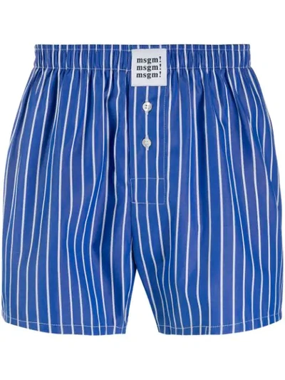 Shop Msgm Striped Boxer Shorts In Blue