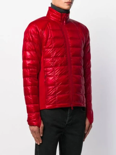 Shop Canada Goose Fitted Puffer Jacket In Red