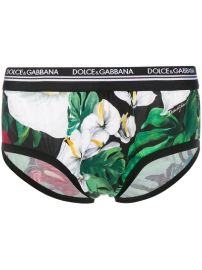 Shop Dolce & Gabbana Orchid Print Briefs In Green