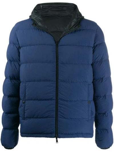 Shop Herno Reversible Padded Jacket - Blue