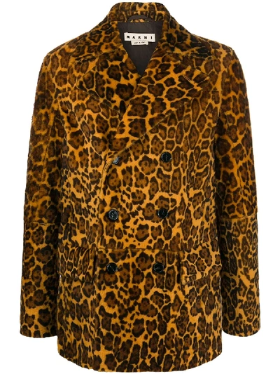 Shop Marni Leopard Print Coat In Neutrals