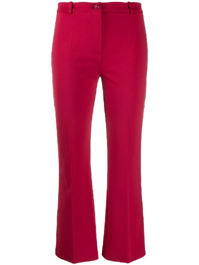Shop Pinko Cropped Kick Flared Trousers In Red