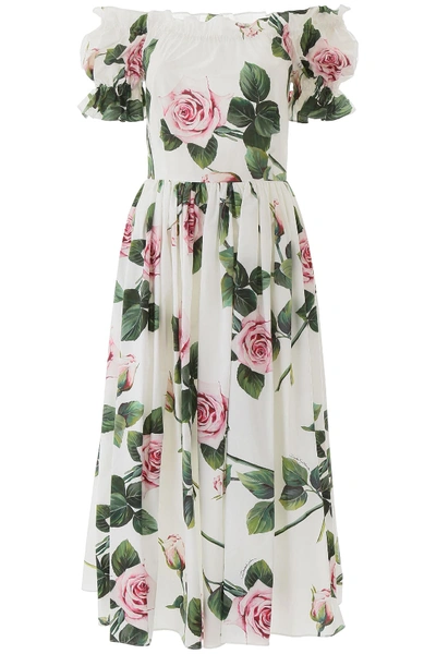 Shop Dolce & Gabbana Tropical Rose Off-shoulder Dress In Rose Rosa Fdo Panna (white)
