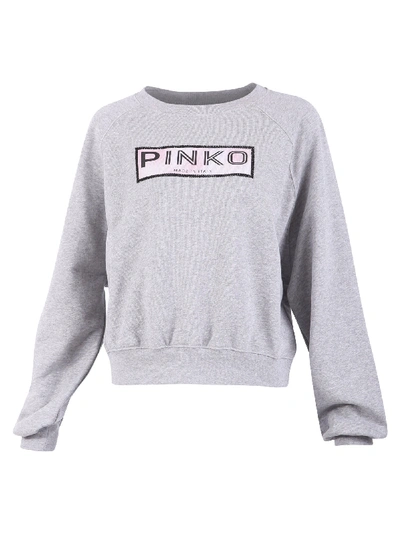 Shop Pinko Branded Sweatshirt In Grey