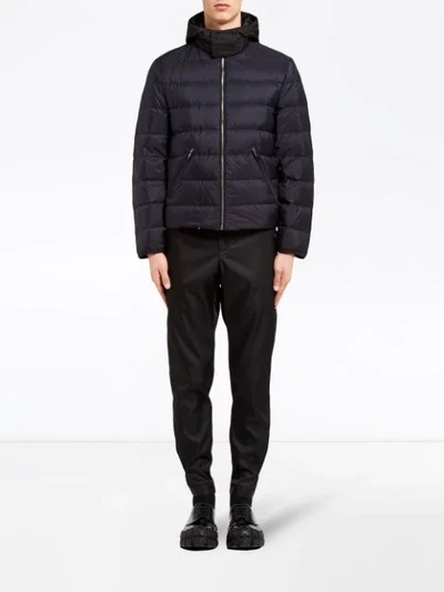 Shop Prada Zip-front Padded Jacket In Blue